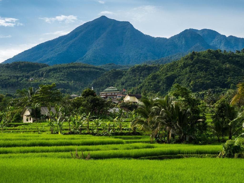 Bogor Valley Hotel Kültér fotó