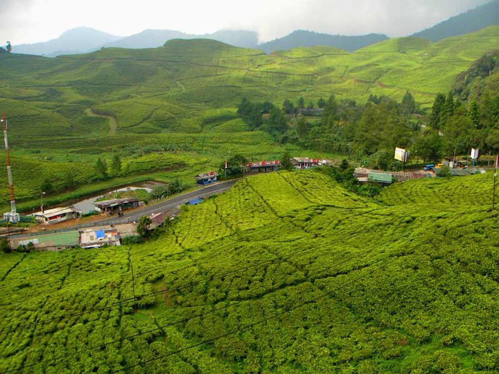 Bogor Valley Hotel Kültér fotó