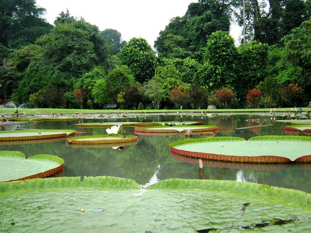 Bogor Valley Hotel Kültér fotó